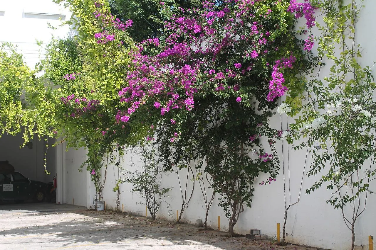 Casa Luna Playa del Carmen Apartman